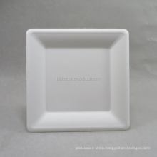 Biodegradable sugarcane square restaurant plate